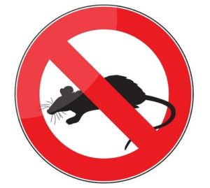 dératisation anti-souris et rats Tunisie