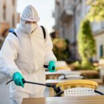 Les nuisibles les plus courants en Tunisie et comment les reconnaître